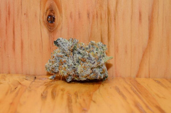 Mac Daddy Platinum Kush Premium AAAA Cannabis Marijuana product image 5.