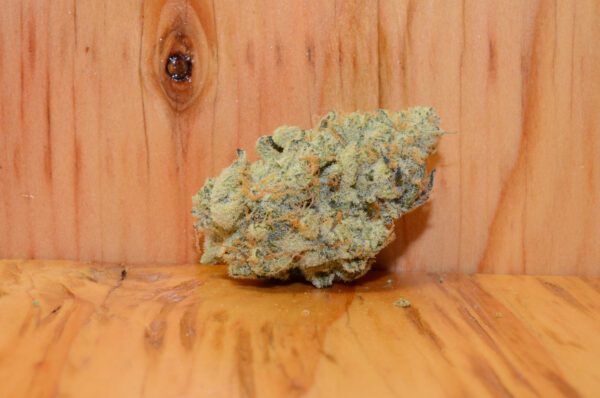 White Truffle Premium AAAA Cannabis Marijuana product image 5.